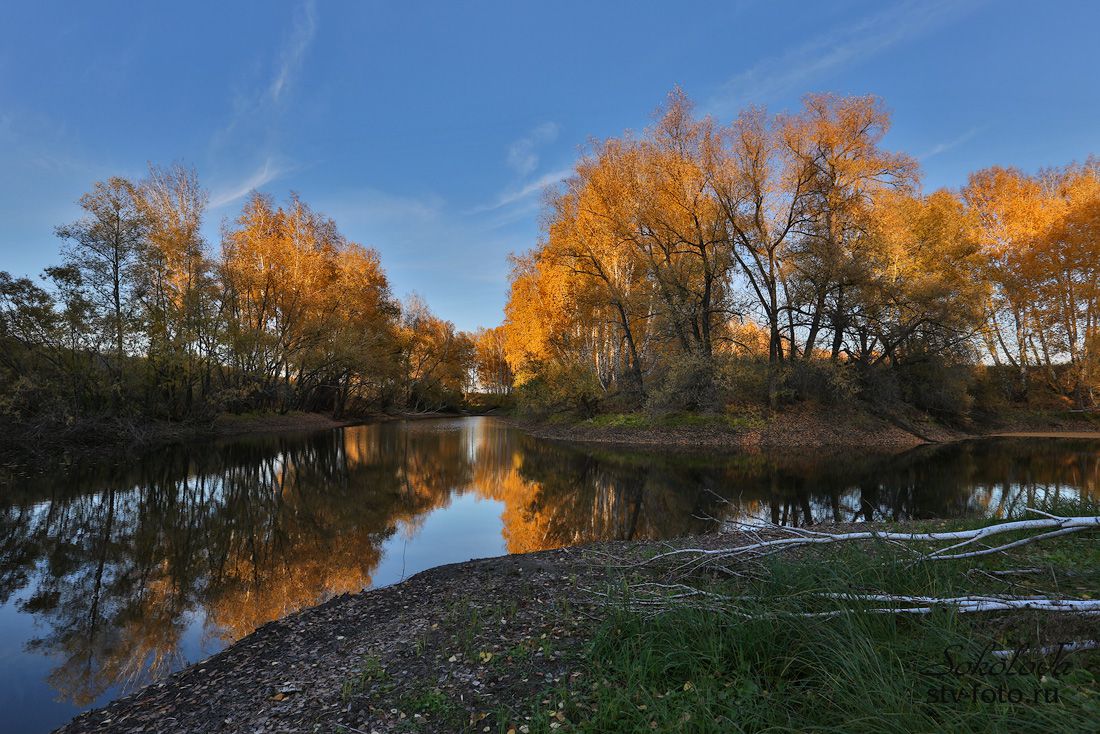 Безымянное озеро недалеко от села Лежанка Омской области