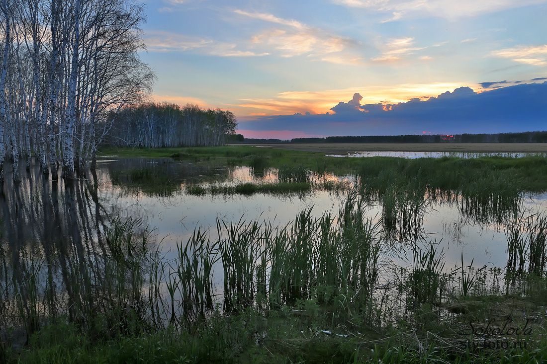 Живописное болото, с. Сосновка, Азовский район, Омская область