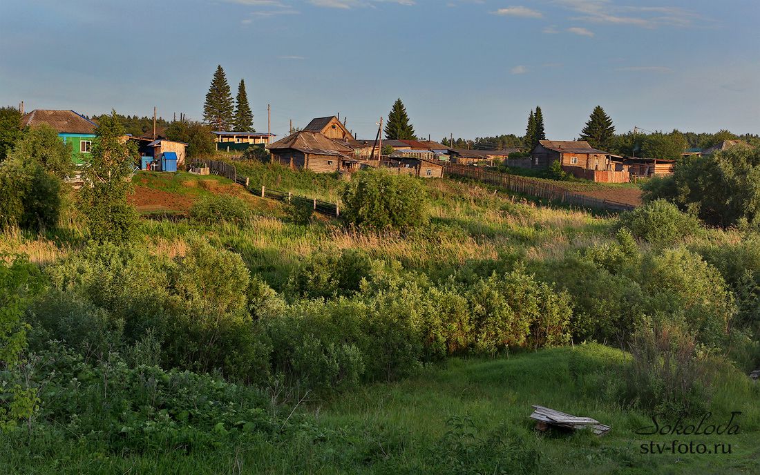 Деревня Петропавловка, Муромцевский район Омской области