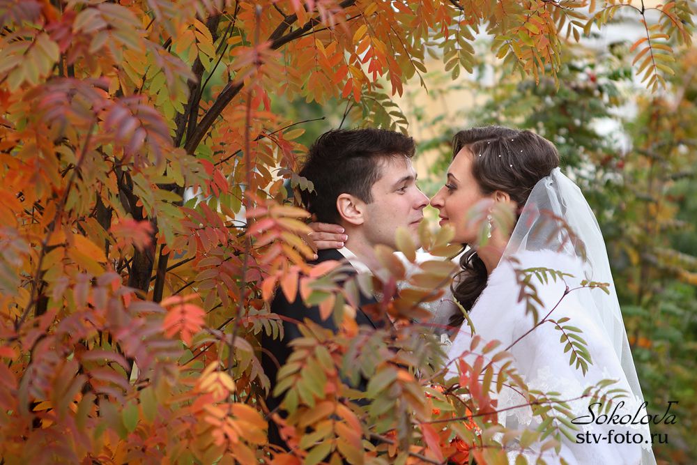 Осенний поцелуй